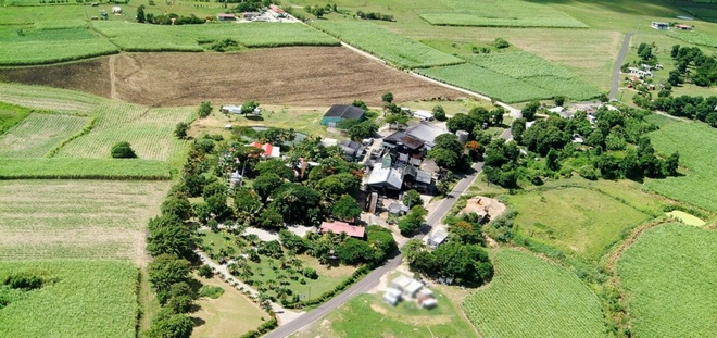 Distillerie Damoiseau en Guadeloupe Distillerie Damoiseau en Guadeloupe