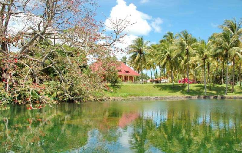 Distillerie Longueteau en Guadeloupe